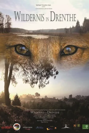 Watch and download Wildernis in Drenthe online (2016)