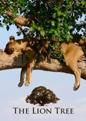 Watch and download The Lion Tree online (2010)
