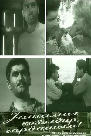 Watch and download The Life is Beautiful, Brother! online (1966)