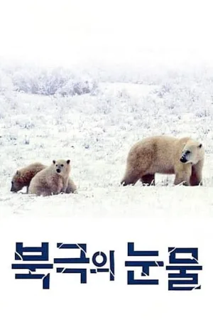اشک ها در قطب شمال