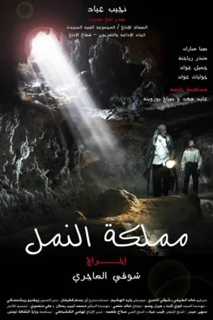 پادشاهی مورچه ها