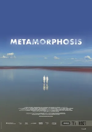 Metamorphosis