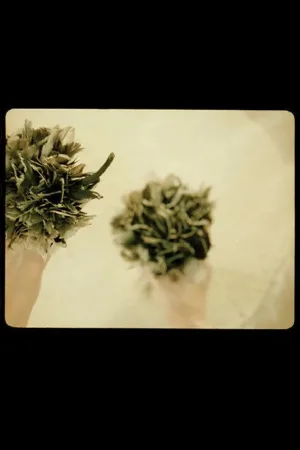 Watch and download cum pane – the one you share your bread with online (2002)