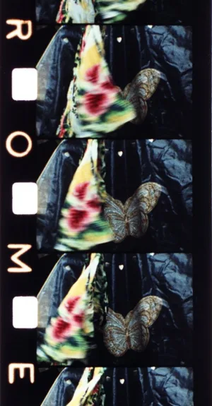 Watch and download Malik online (1977)