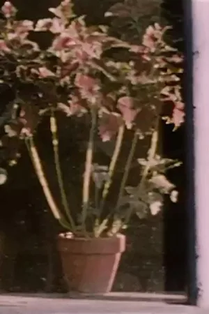 Watch and download Street Meat online (1959)