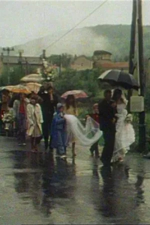 پدران پروفیتن