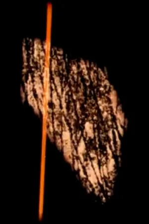 مطالعه ۶۵