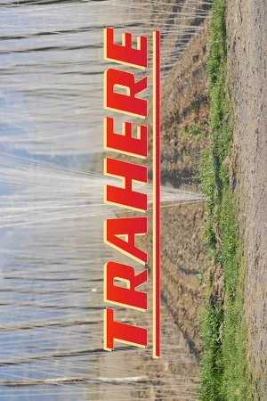 Watch and download Trahere online (2017)
