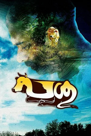 پسو