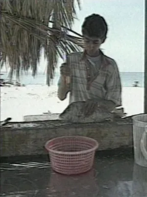 مهد خورشید