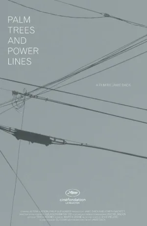 Palm Trees and Power Lines
