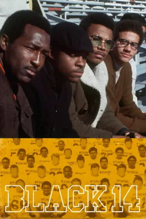 چهارده سیاه