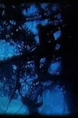 راه آبی
