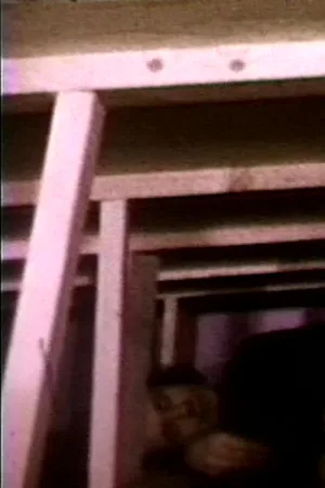 بذر