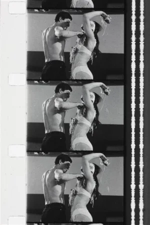 Watch and download He! Viva Dada online (1965)