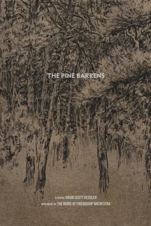 The Pine Barrens