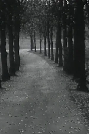 کری
