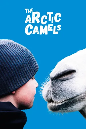 Watch and download The Arctic Camels online (2019)