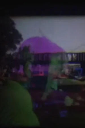 آتشزادان رنگی افسون‌شده