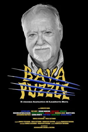 Bava Puzzle