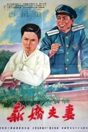 Watch and download The Newlyweds online (1955)