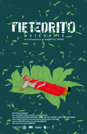Meteorite
