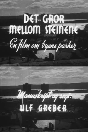 Watch and download Oslofilm: Det gror mellom steinene online (1949)