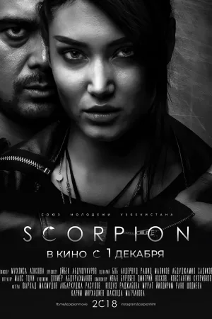 Watch and download Scorpion online (2018)