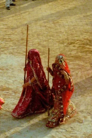 هولیکا