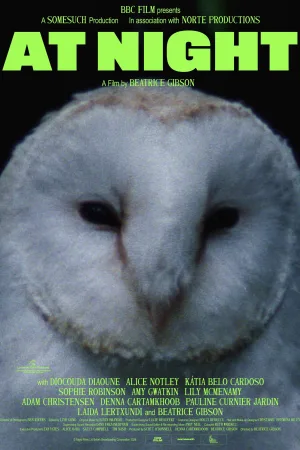 Watch and download At Night online (2026)