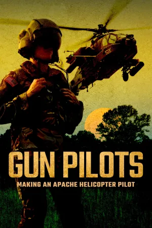 Gun Pilots