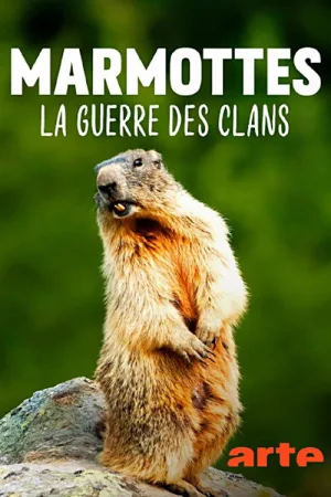 Watch and download Marmottes la Guerre des Clans online (2026)