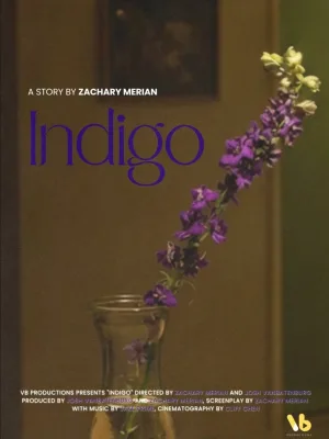 INDIGO