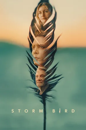 پرندهٔ طوفان