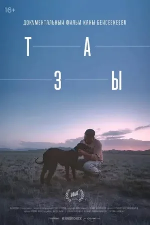 تایز