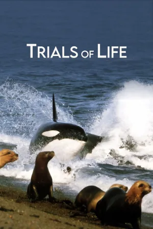 Watch and download Trials of Life online (1990)