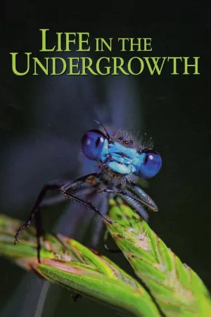 Watch and download Life in the Undergrowth online (2005)
