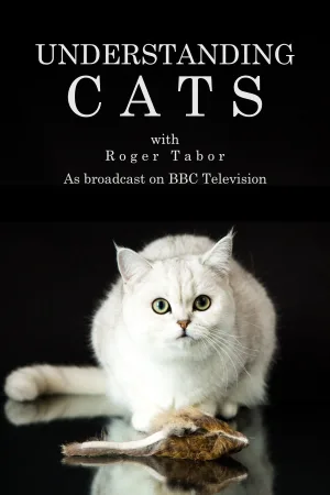 Watch and download Understanding Cats online (1995)