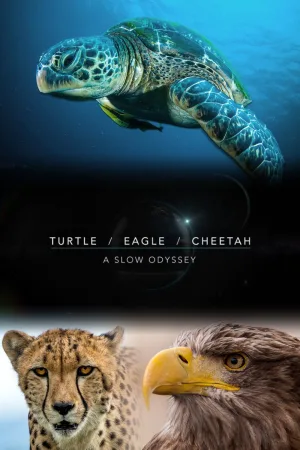 Watch and download Turtle, Eagle, Cheetah: A Slow Odyssey online (2018)
