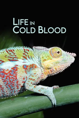 Watch and download Life in Cold Blood online (2008)