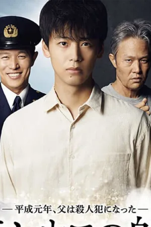Theseus no fune
