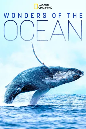 Watch and download Wonders of the Ocean online (2019)