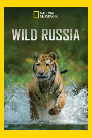 Watch and download Wild Russia online (2008)