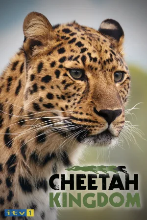Watch and download Cheetah Kingdom online (2010)