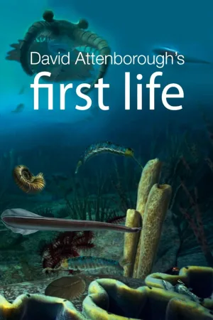 Watch and download First Life online (2010)