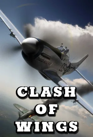 Watch and download Clash of Wings online (1998)