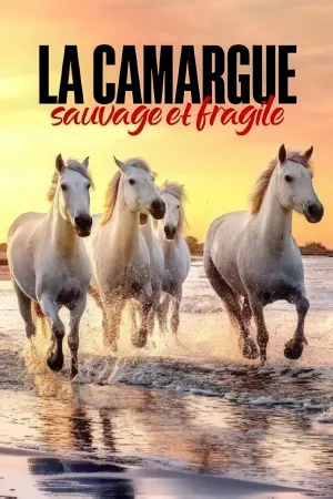 Watch and download La Camargue : sauvage et fragile online (2022)