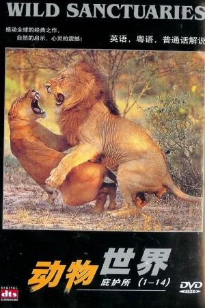 Watch and download Wild Sanctuaries online (1991)
