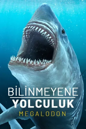 Expedition Unknown Megaladon