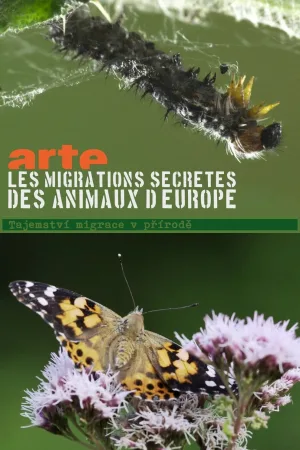 Secret Migrations